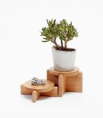 Areaware Plant Pedestal Set